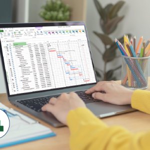 Gestión de Proyectos con MS Project